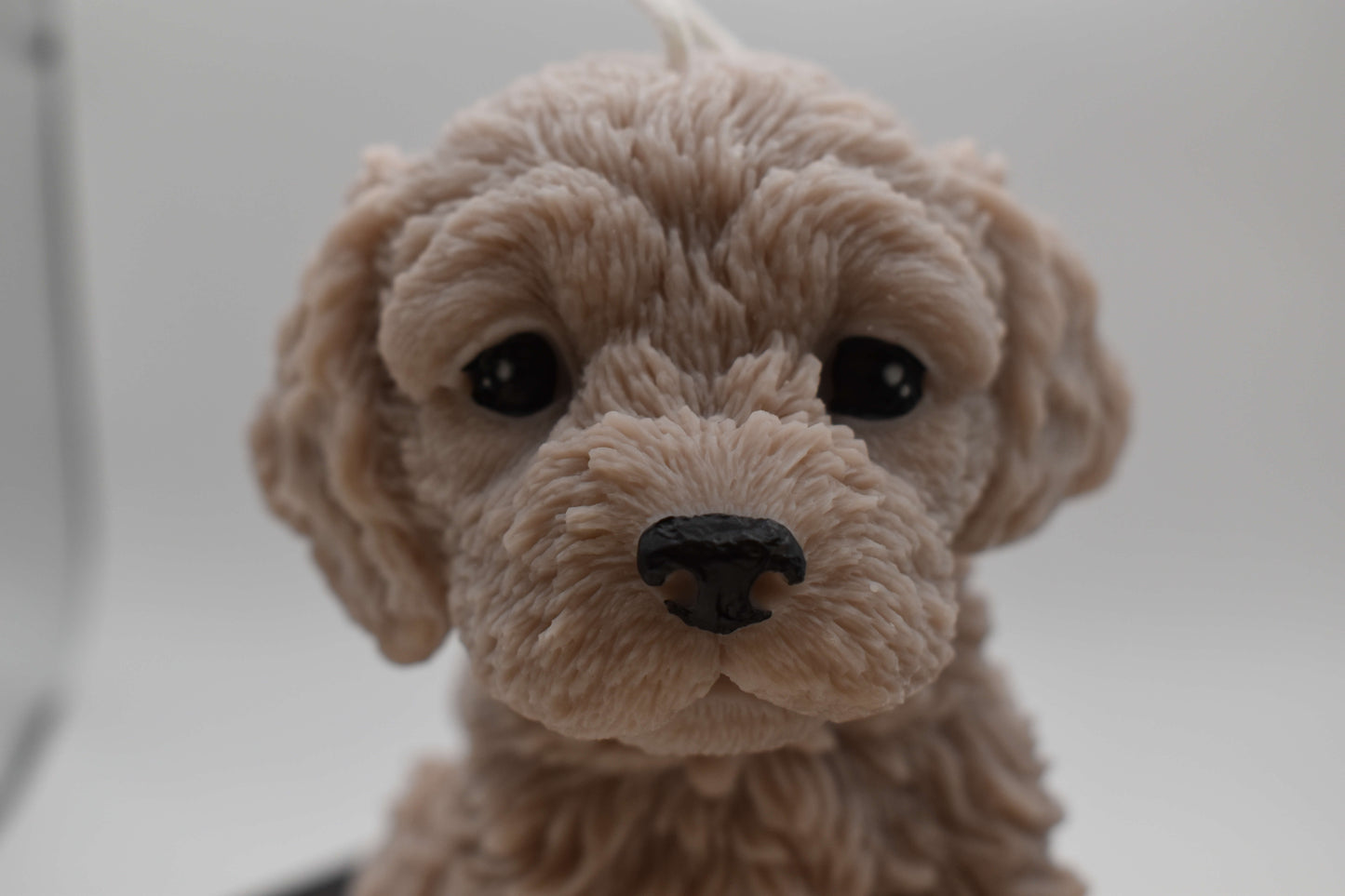 Rapeseed wax candle "Puppy Love XL" - Cockapoo