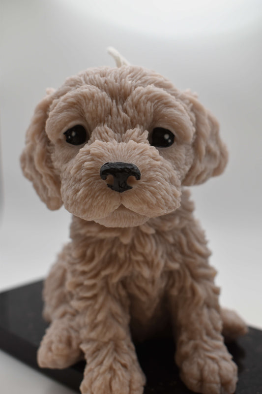 Rapswachskerze "Puppy Love XL" - Cockapoo
