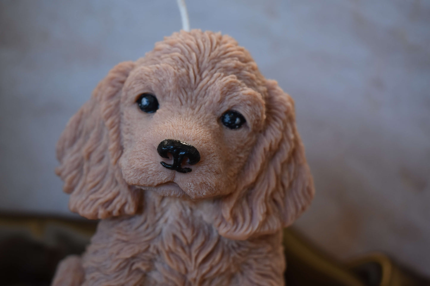 Rapeseed wax candle "Puppy Love XL" - Cocker Spaniel