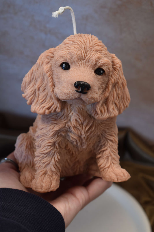 Rapswachskerze "Puppy Love XL" - Cocker Spaniel