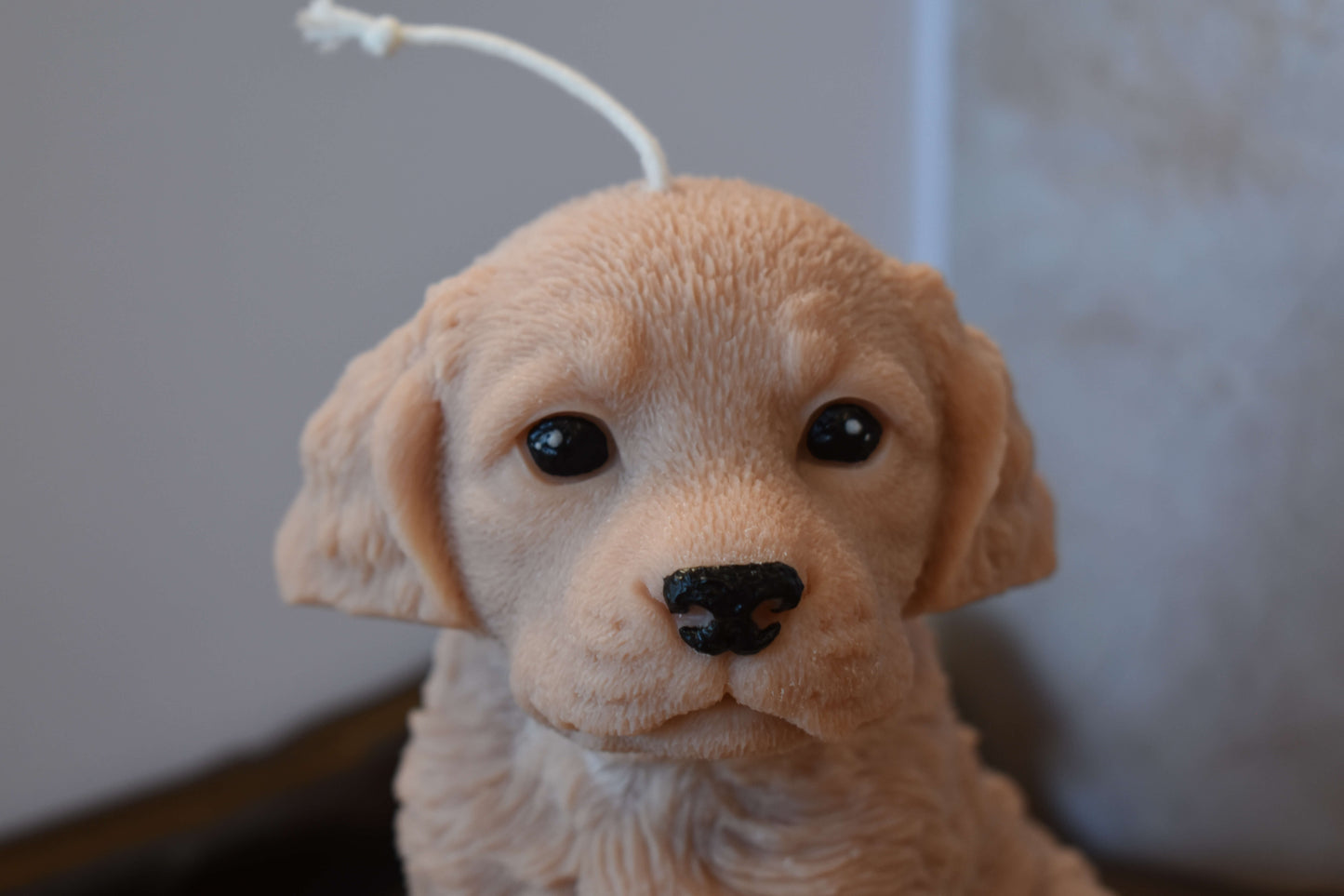 Rapeseed wax candle "Puppy Love XL" - Retriever