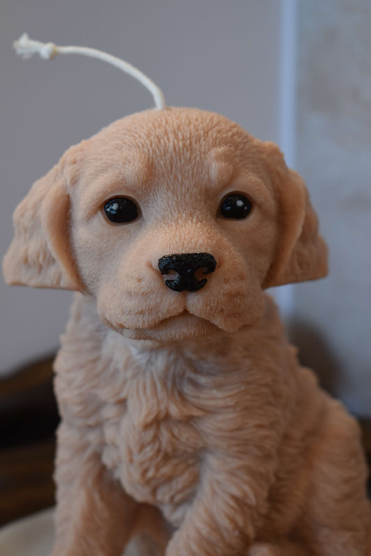 Rapswachskerze "Puppy Love XL" - Retriever