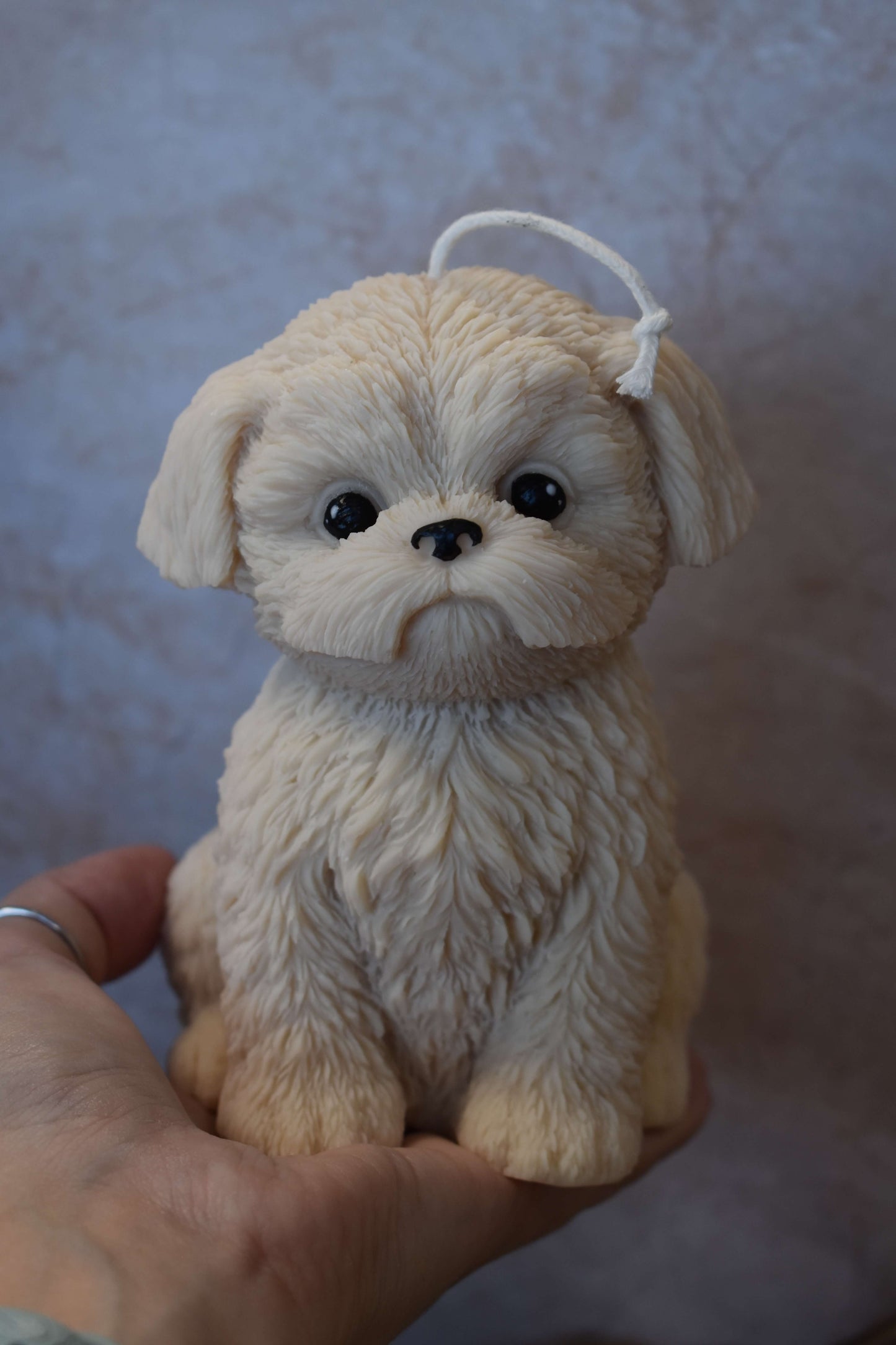 Rapeseed wax candle "Puppy Love XL" - Shih Tzu