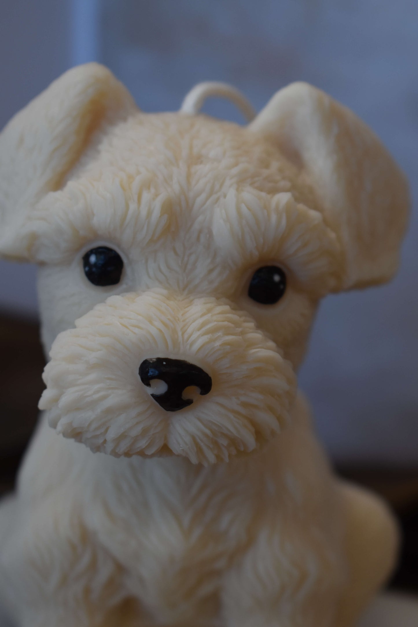Rapeseed wax candle "Puppy Love XL" - Schnauzer