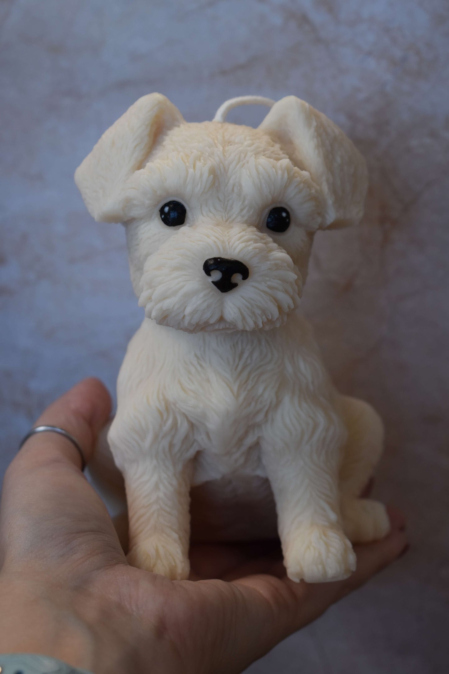 Rapeseed wax candle "Puppy Love XL" - Schnauzer