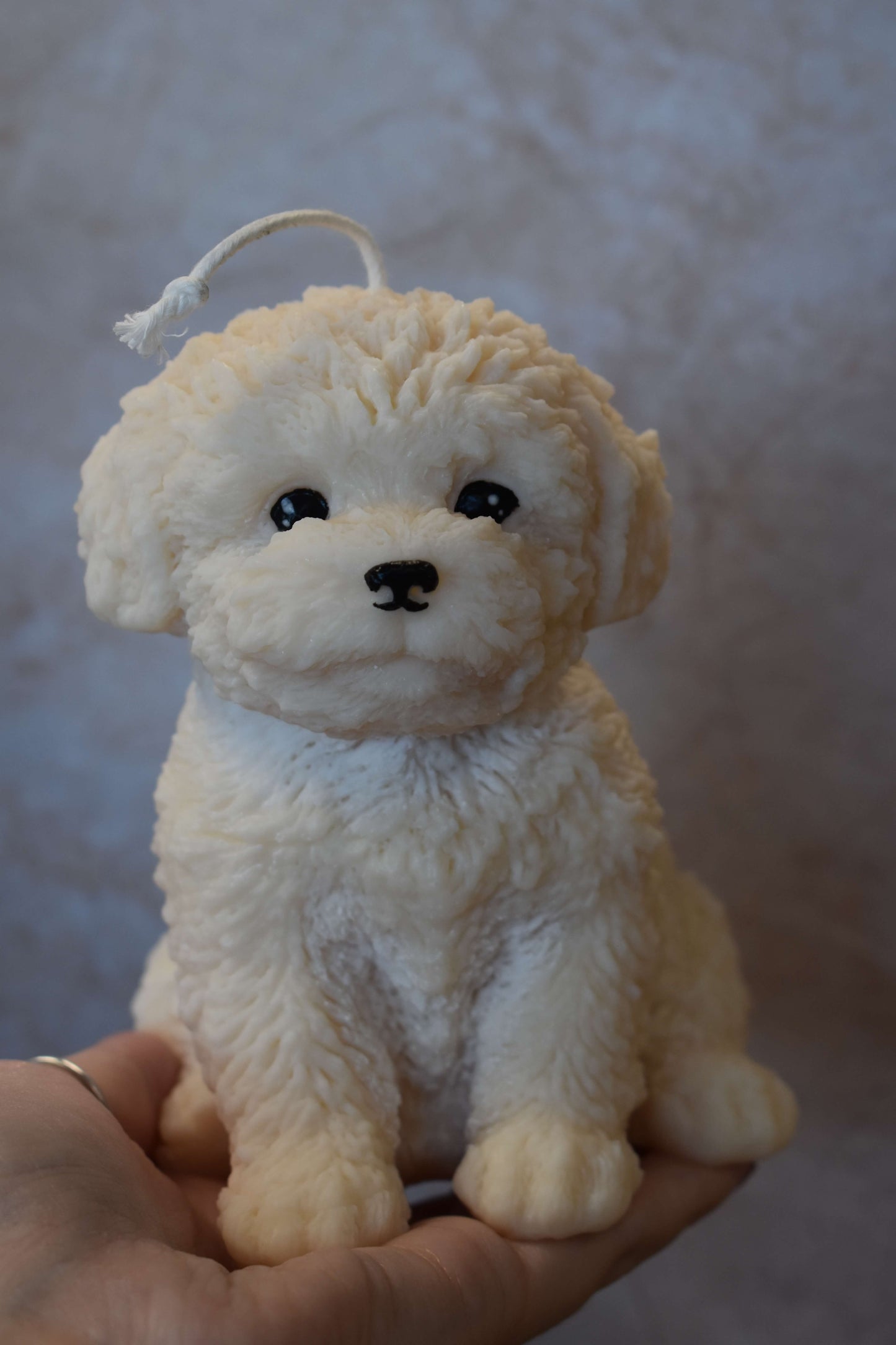 Rapeseed wax candle "Puppy Love XL" - Poodle