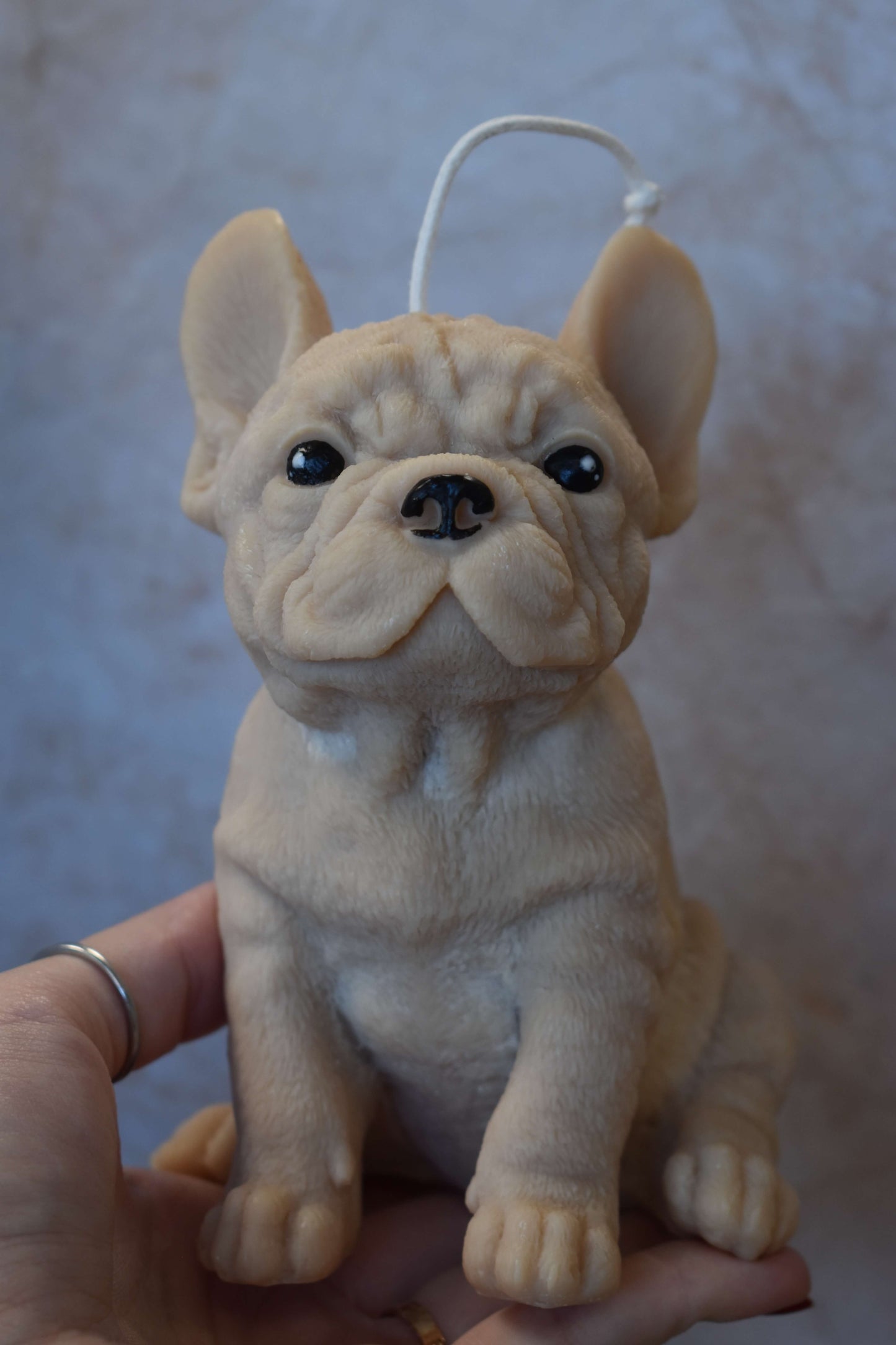 Rapeseed wax candle "Puppy Love XL" - Frenchie