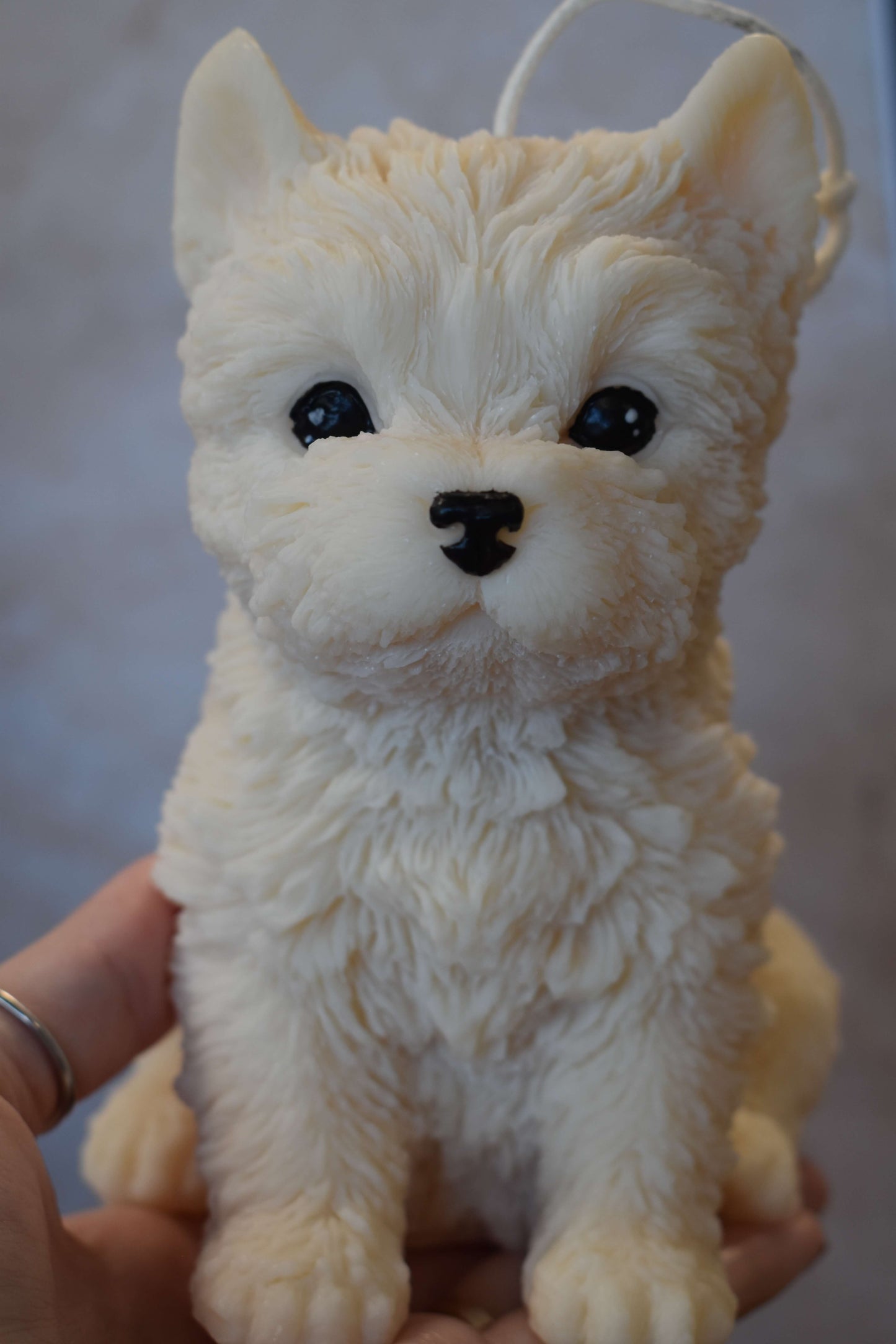 Rapeseed wax candle "Puppy Love XL" - Westie