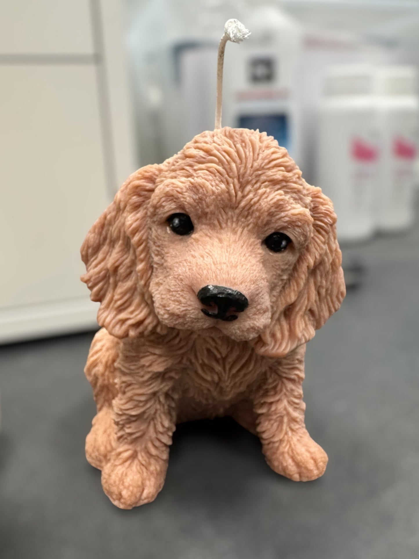 Rapeseed wax candle "Puppy Love XL" - Cocker Spaniel