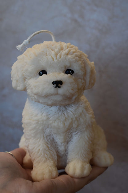 Rapeseed wax candle "Puppy Love XL" - Poodle