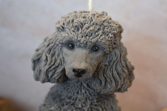 Rapswachskerze "Puppy Love XL" - Königspudel