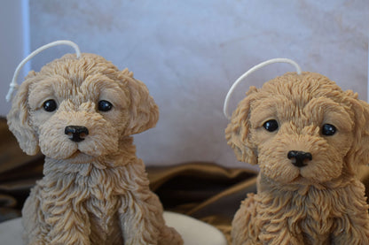 Rapeseed wax candle "Puppy Love XL" - Cockapoo